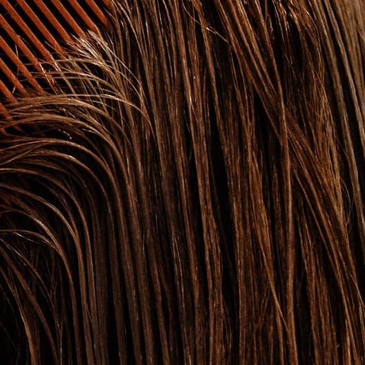 3 Skin Fades at Palomino Hair Studio in Las Vegas, NV